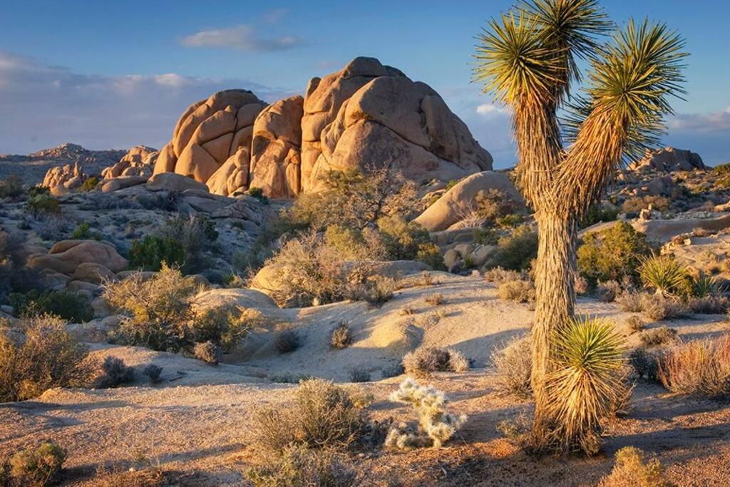 Butterfly House: A Tranquil Haven In Joshua Tree Villa Bagian luar foto