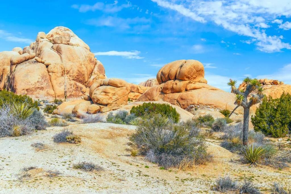 Butterfly House: A Tranquil Haven In Joshua Tree Villa Bagian luar foto