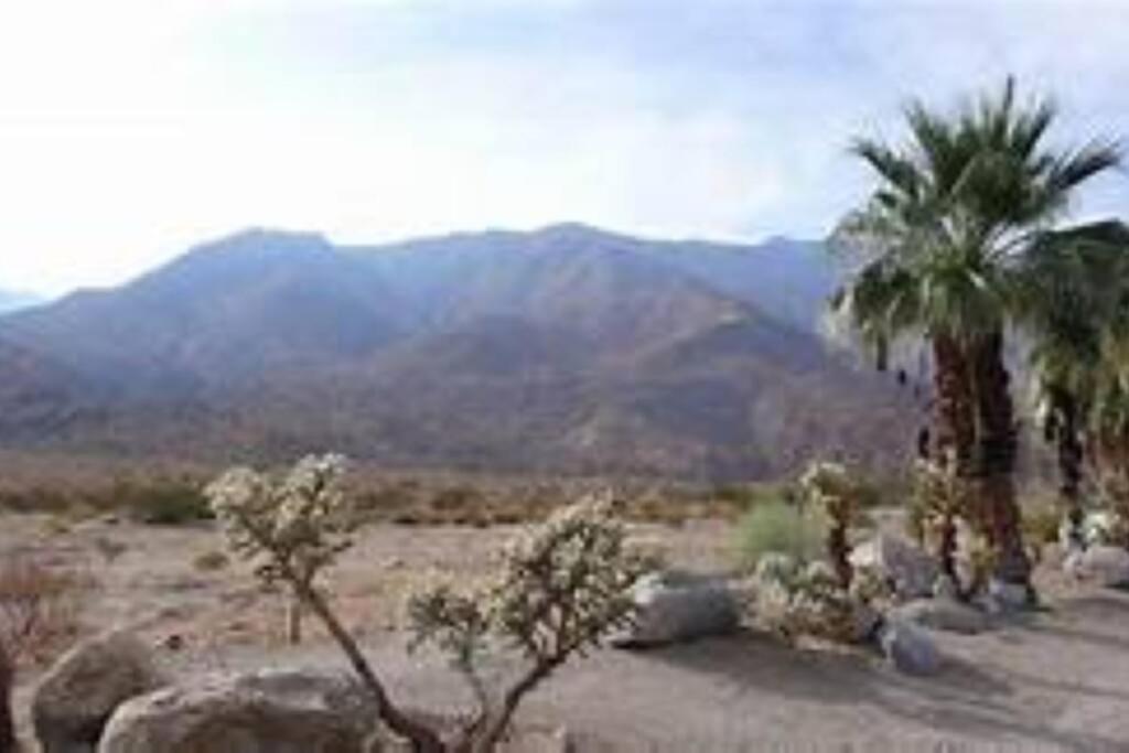 Butterfly House: A Tranquil Haven In Joshua Tree Villa Bagian luar foto